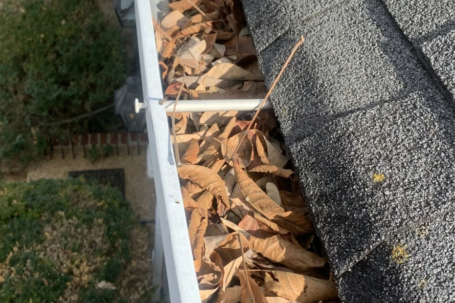 Gutter Cleaning Townsend