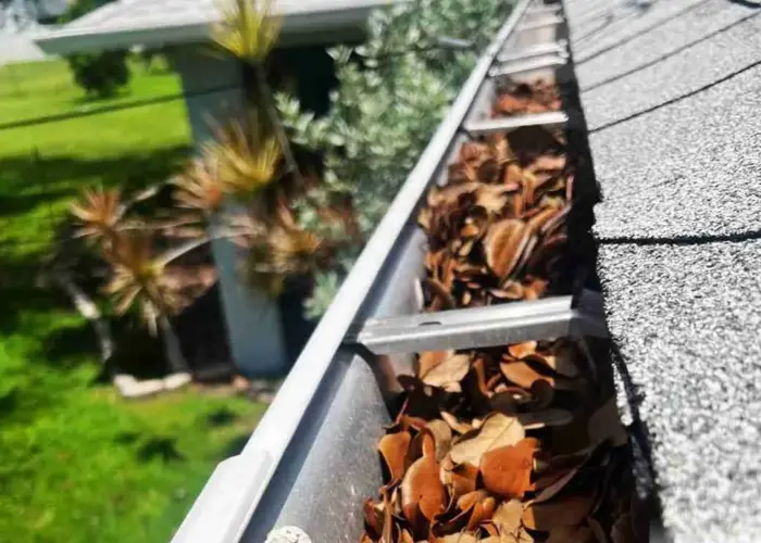 Gutter Cleaning Townsend home page